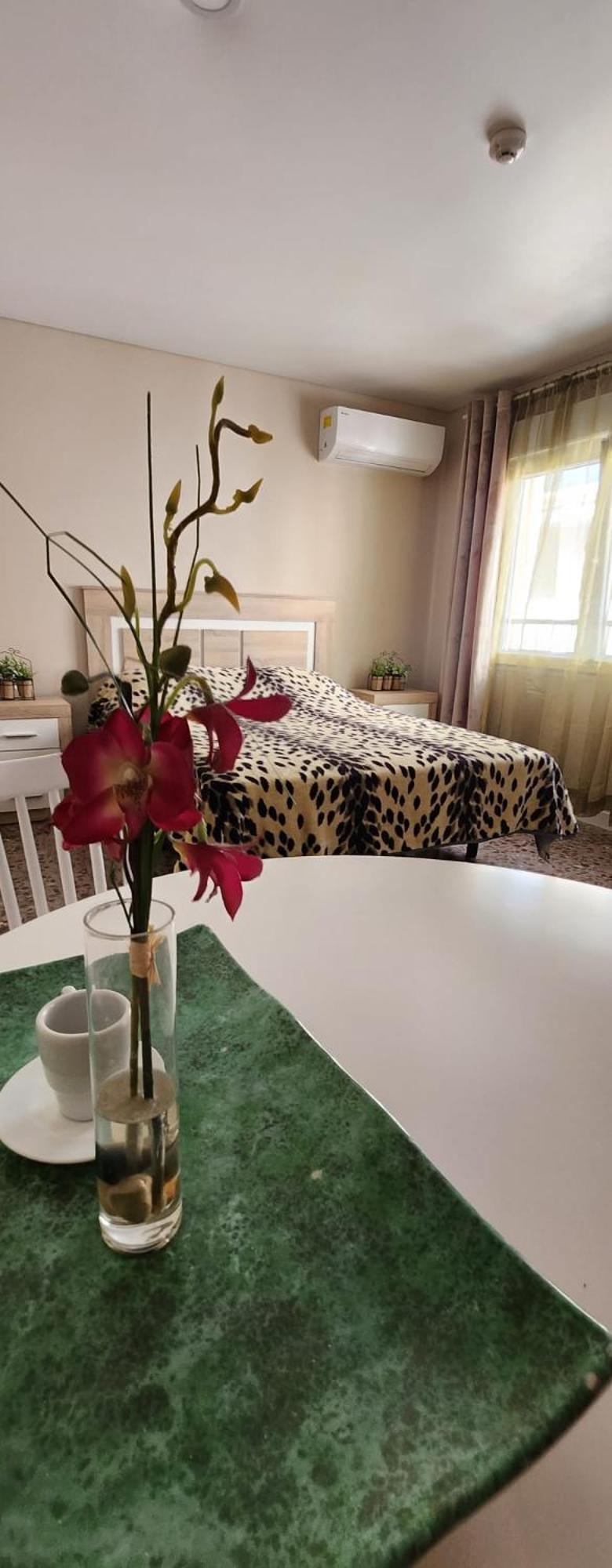 Apartamentos Belladorm Benidorm Ngoại thất bức ảnh